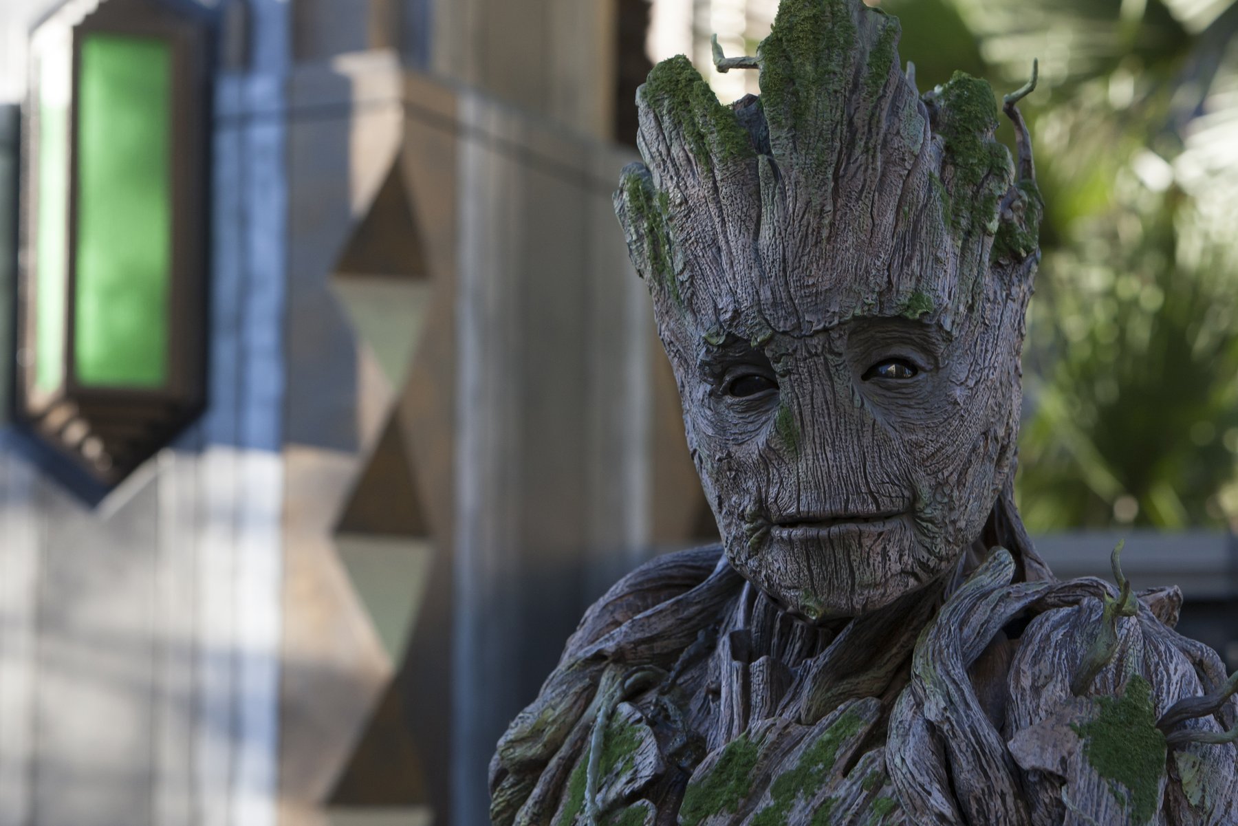 MARVEL6-GROOT.jpg