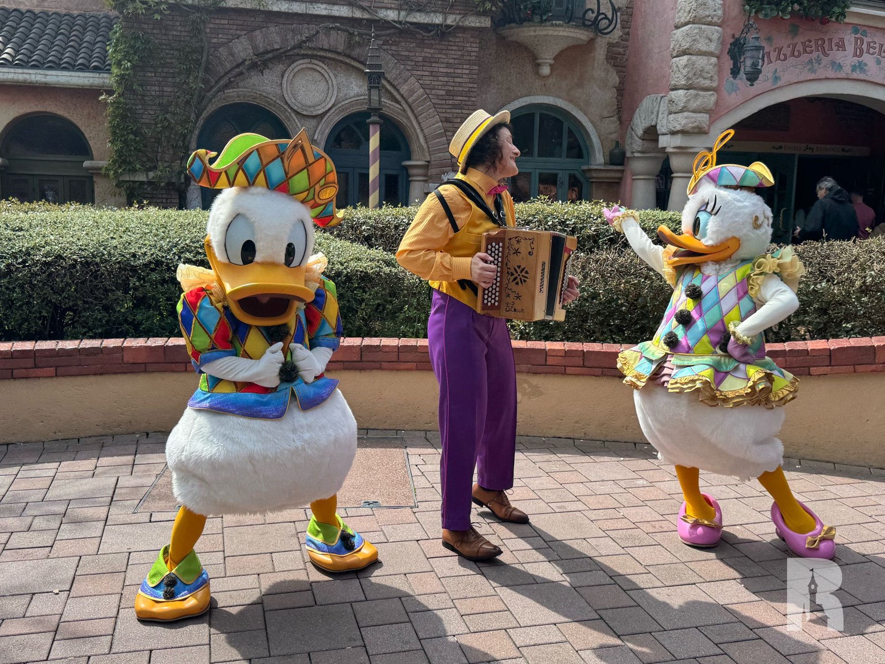 dlp-disney-music-festival-20 dlp-disney-music-festival-20