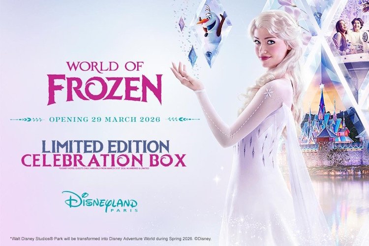 dlp-frozen-celebration-box