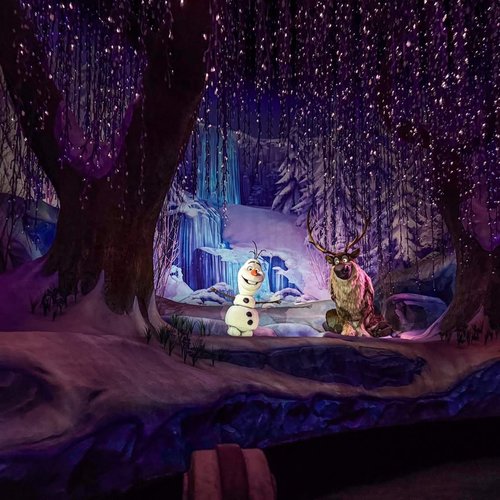 dlp-frozen-ever-after-exclusieve-look-04