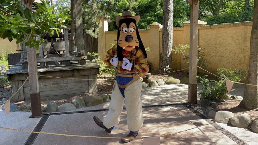 dlp-goofy-old-outfit.jpg