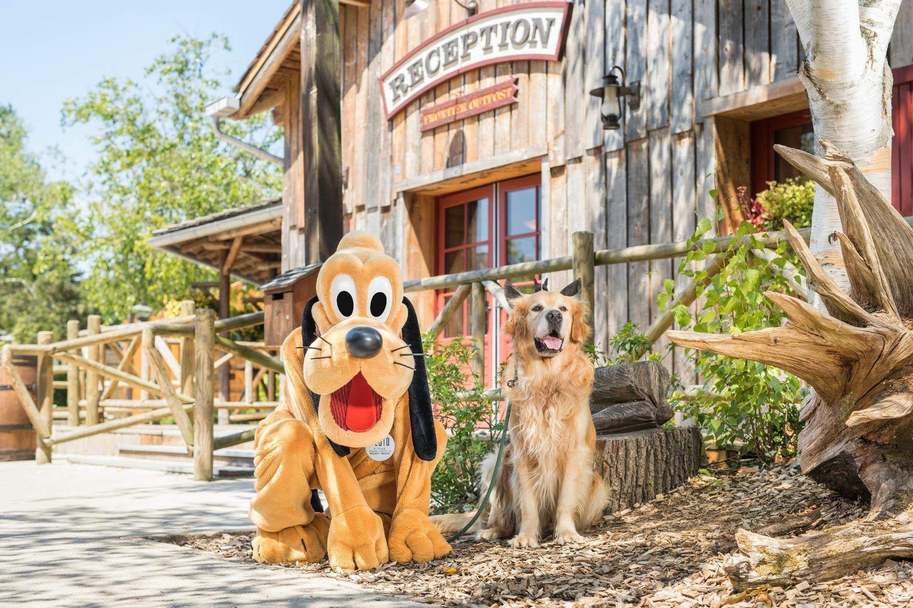 hond Disney's Davy Crockett Ranch