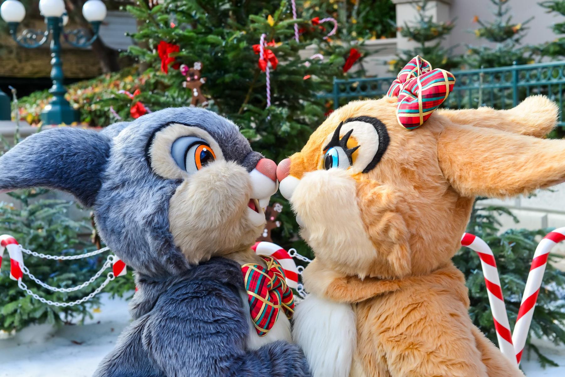 dlp kerst