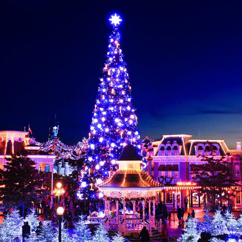 dlp-kerst-2024-05 dlp-kerst-2024-05