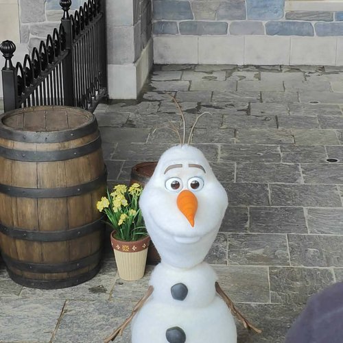 dlp-preview-daw-olaf-1