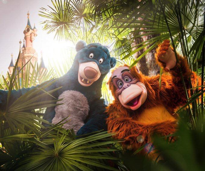 dlp-the-lion-king.jpg dlp-the-lion-king.jpg