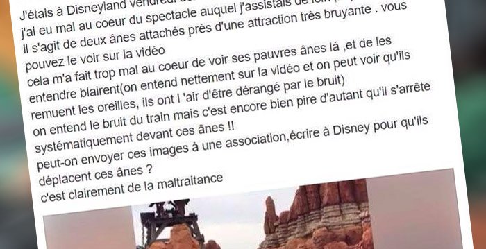 dierenactivisten bericht facebook
