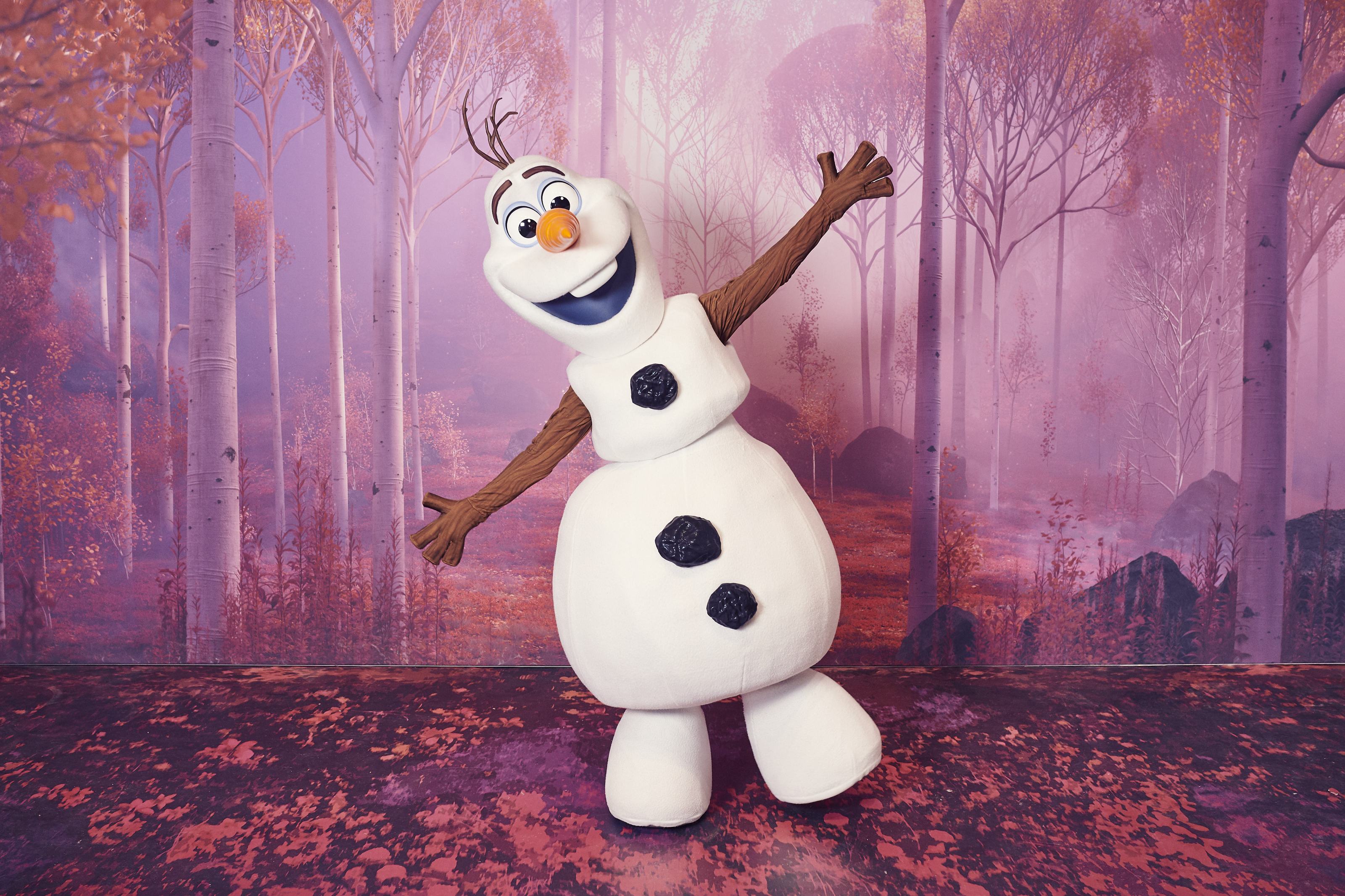 frozen_DSC_3146-1.jpg